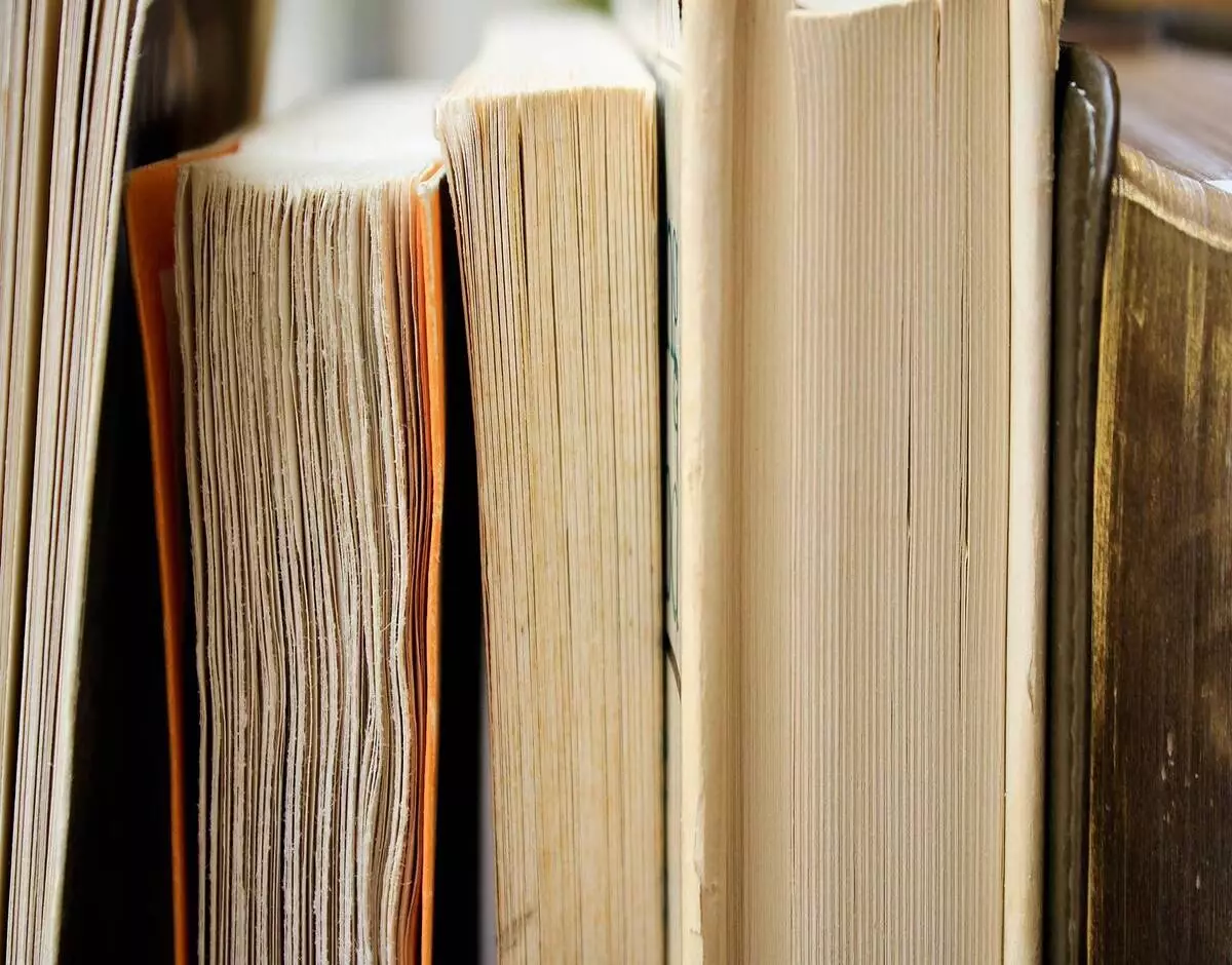 Como limpar a estante de livros mofada? Veja como proteger os seus livros e espantar os fungos - Fonte: Pixabay