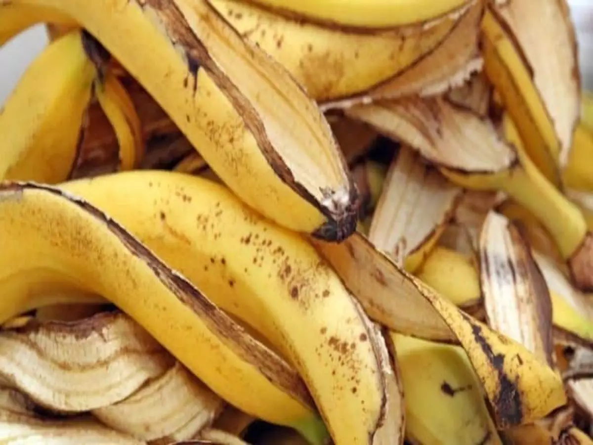 Veja a dica mais perfeita do mundo de como reutilizar a casca da banana na sua cozinha - Fonte - Pixabay