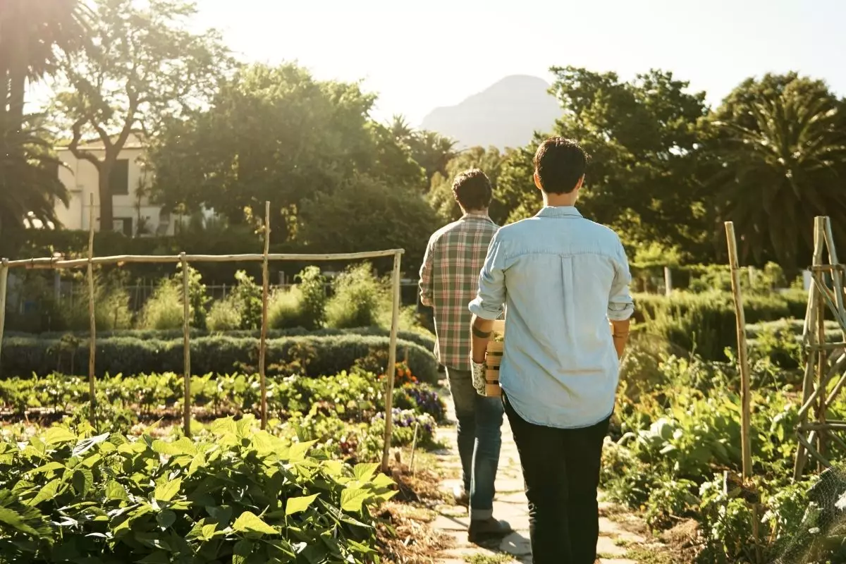 3 dicas de sustentabilidade para seu jardim ou horta: deixe mais sustentável