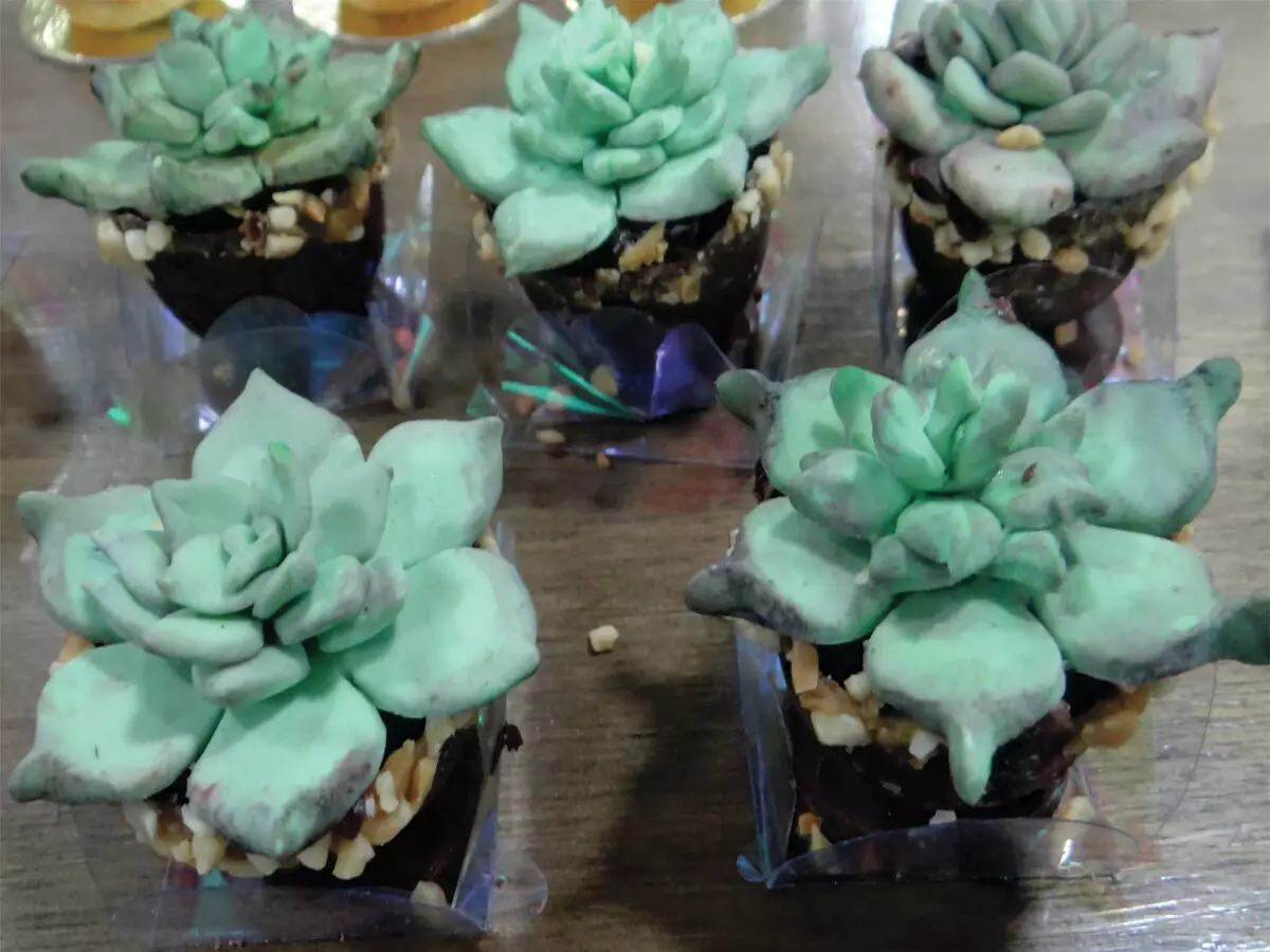 Açúcar nas suculentas? Veja se pode colocar e como vai ficar a sua flor - Fonte: Canvas