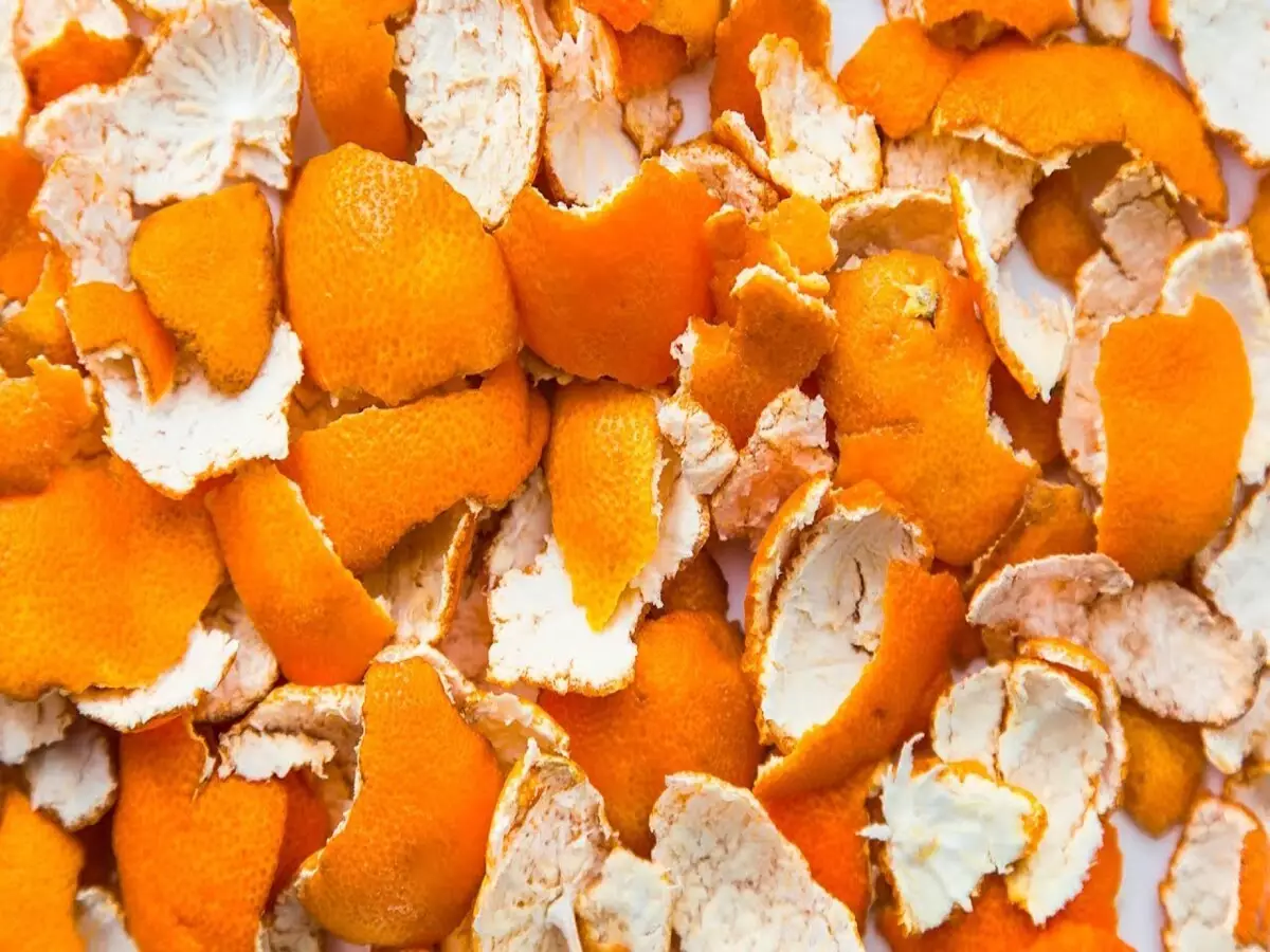 Como reutilizar casca de laranja? Veja essa receita super gostosa que a gente vai te ensinar - Fonte: Pixabay