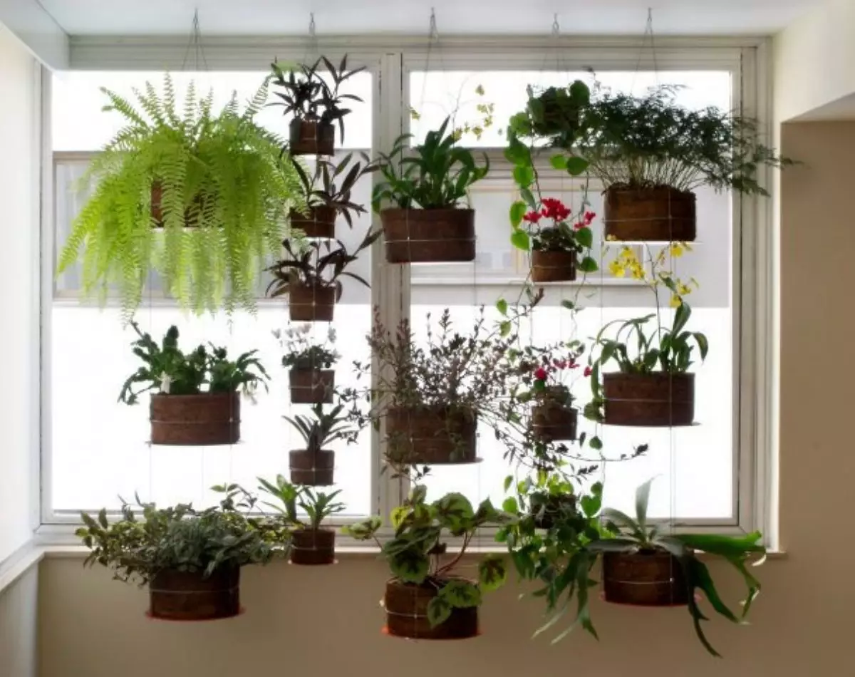 Conheça as vantagens do jardim suspenso em casa; confira a seguir