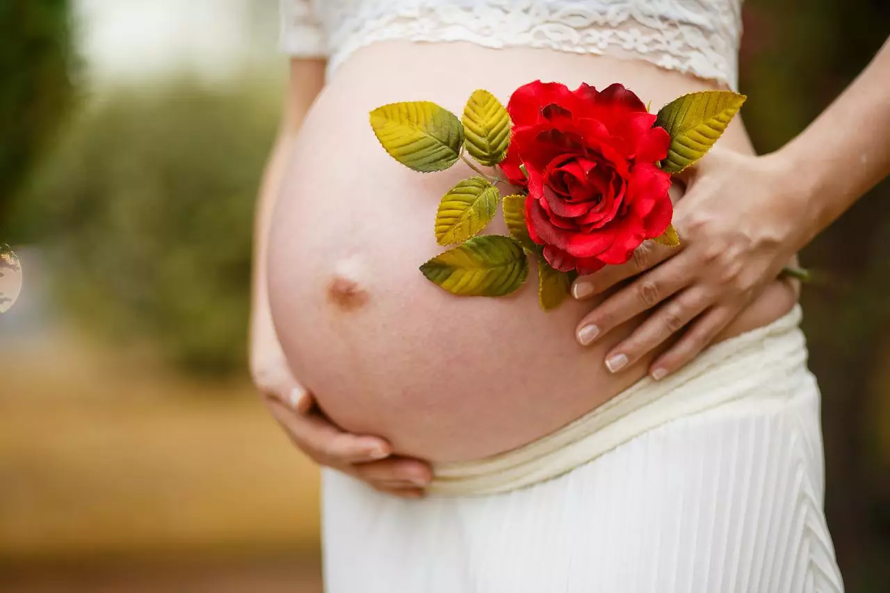 Veja quais ervas medicinais são contraindicadas para tomar durante a gravidez - pixabay