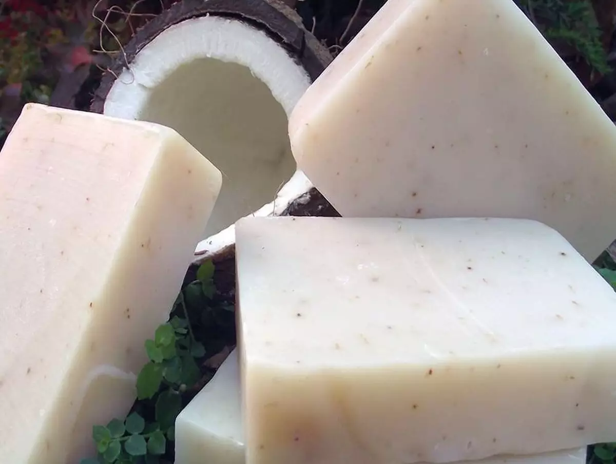 Sabão de coco caseiro para pele: veja como fazer receita mais fácil e hidratante do mundo - Fonte: Pixabay