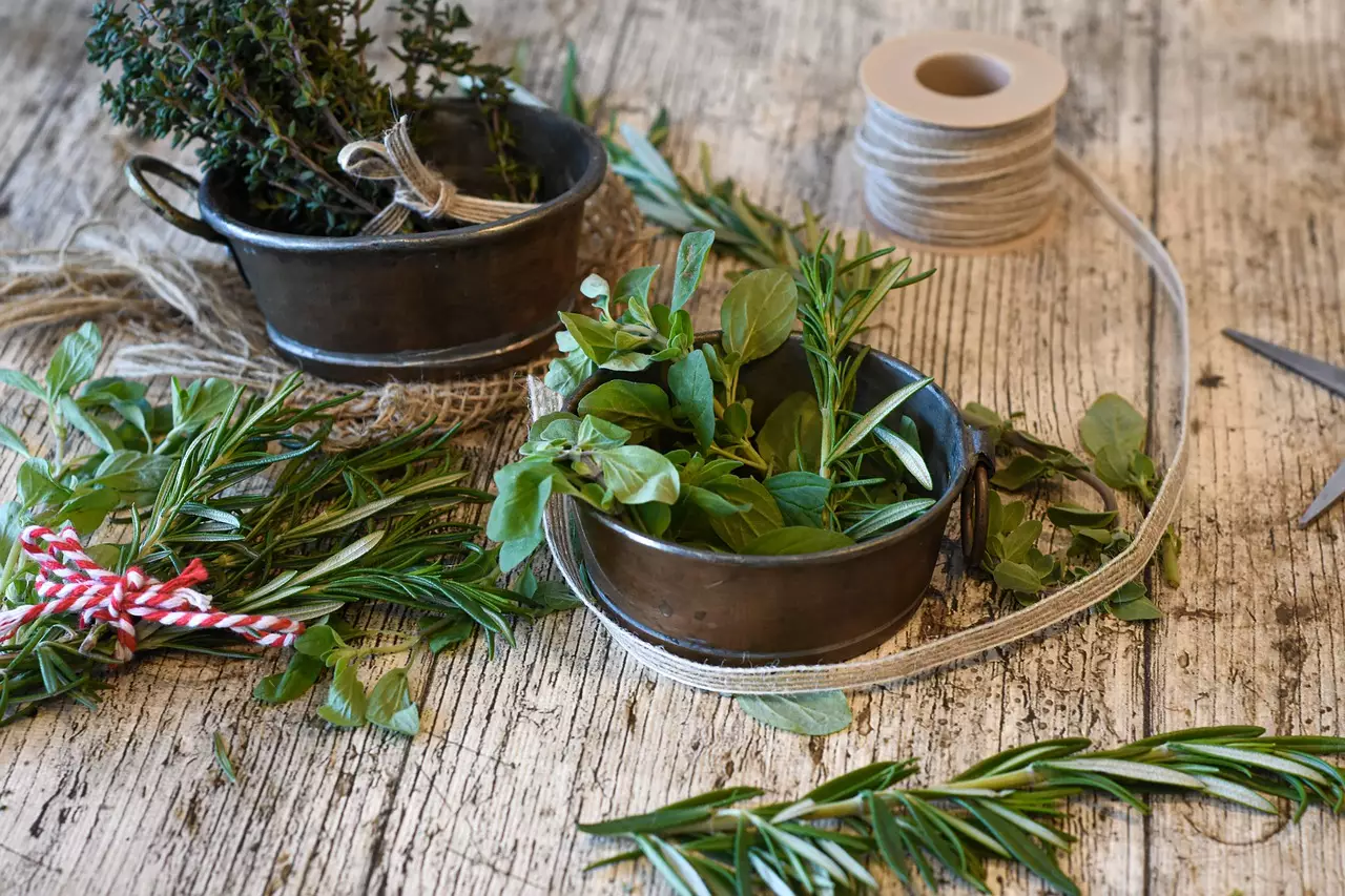 Plantas calmantes: confira 3 plantas que podem diminuir a sua ansiedade - pixabay