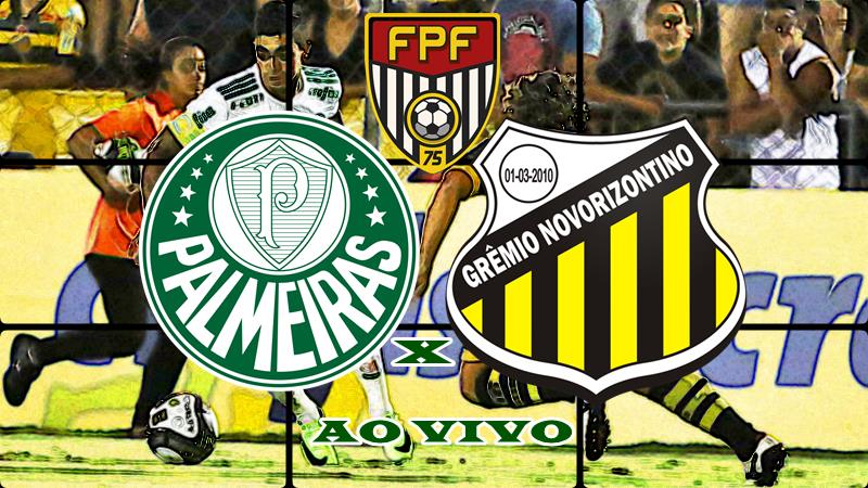 Onde assistir o Jogo Palmeiras x Novorizontino ao vivo nesta quarta. foto/Montagem