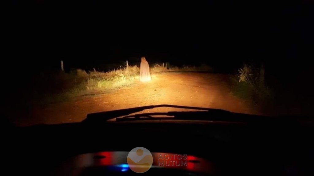 Suposto Fantasma de Brasnorte / Reprodução: Internet