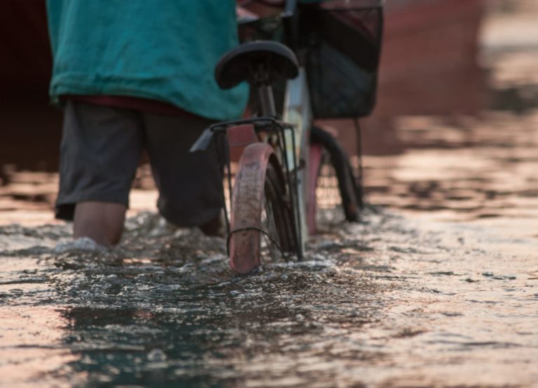 Temporal em Belo Horizonte faz a cidade amanhecer destruída em diversos pontos