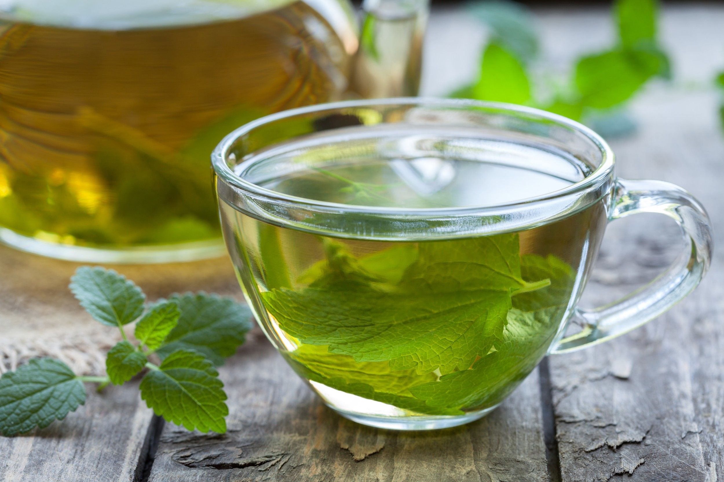 Chá de erva-cidreira: veja os principais benefícios e aprenda a fazer