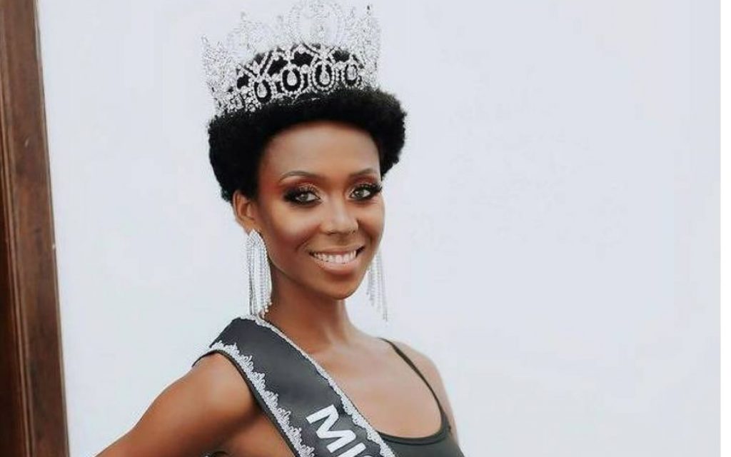 Carregar mais DETALHES DO ANEXO Ieda-Favo-Imagem-Ilustracao