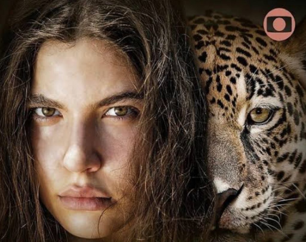 PANTANAL - FOTO REPRODUÇÃO DO TWITTER