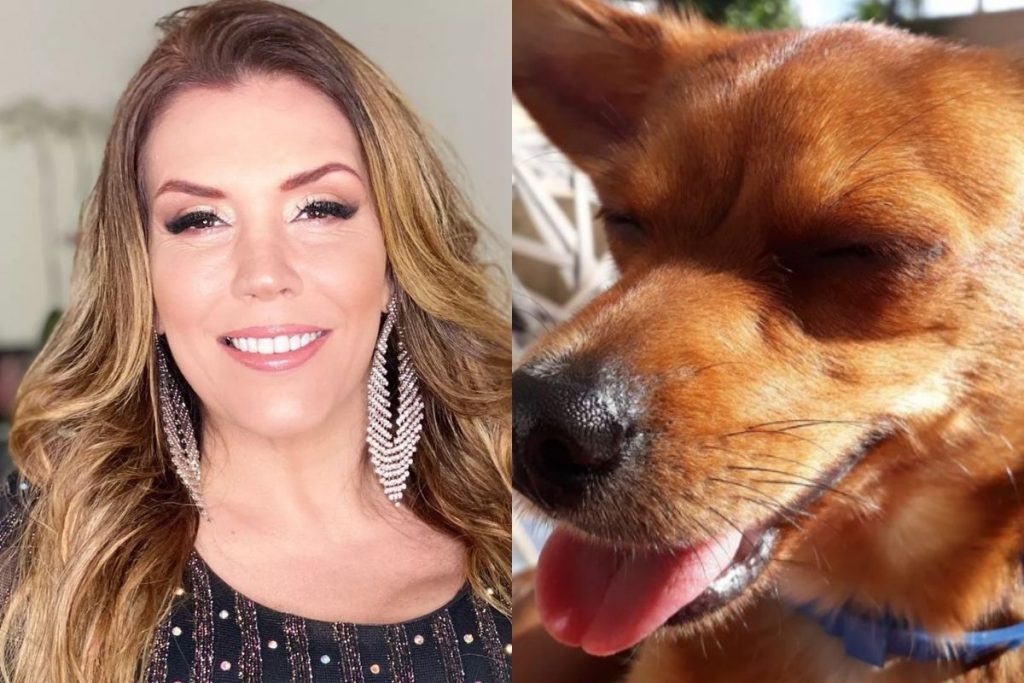Simony pede ajuda para localizar o responsável por atropelar e matar a sua cachorra