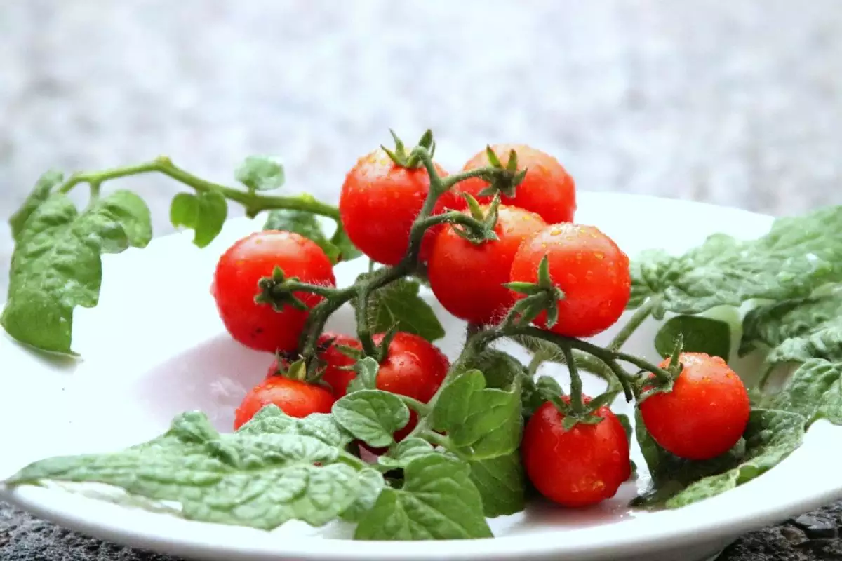 marcos mion reprodução: instagram