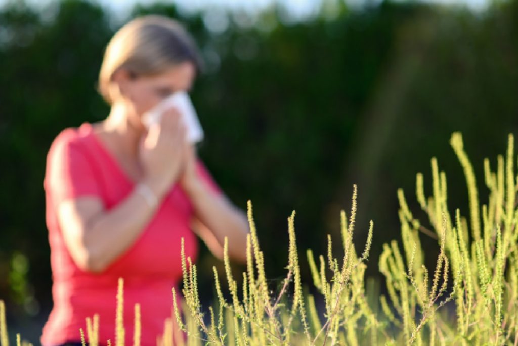 Alergia à grama, veja 3 formas de ter um quintal verde sem alergias (Foto: Canva Pro)