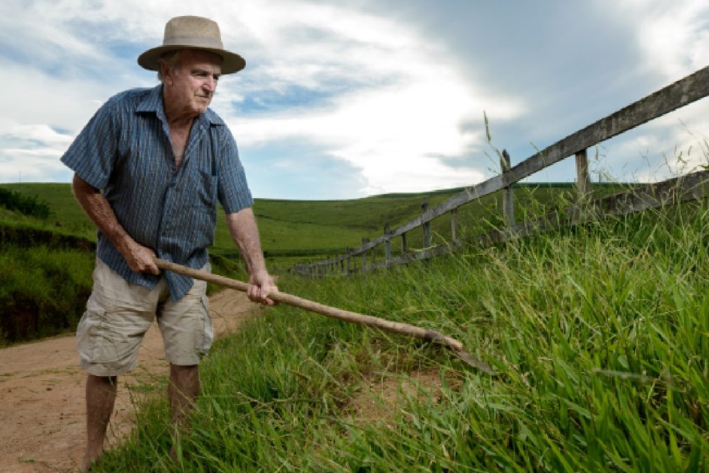 Como se livrar de ervas daninhas na grama, conserve seu quintal por mais tempo (Foto: Canva Pro)