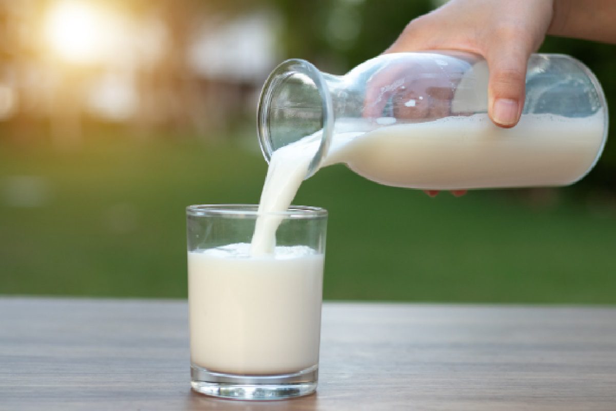 Diferença entre leite instantâneo e integral, aprenda mais sobre estes ingredientes (Foto: Canva Pro)