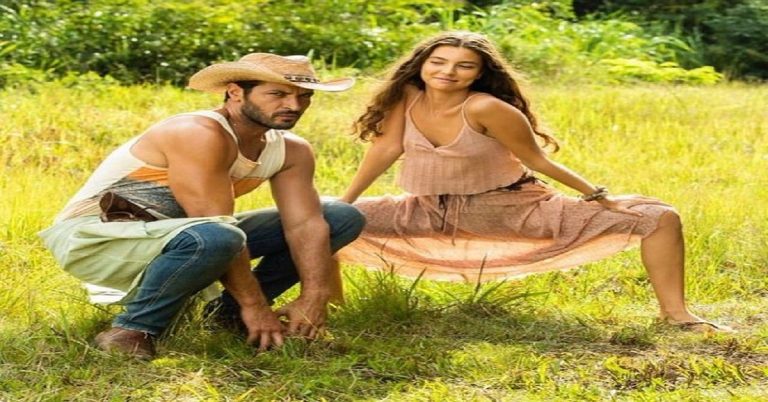 Pantanal - Reprodução Twitter