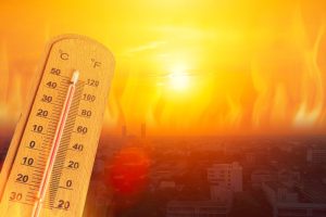 O calor na Europa: Por qual motivo o Brasil também deve se preocupar