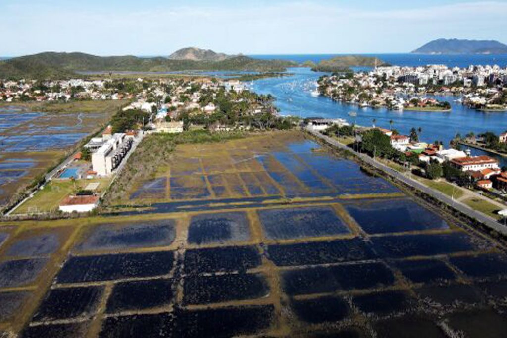 Munícipio de Cabo Frio - RJ e INEA recebem oficio do MPRJ para que fiscalizem empreendimento que ponha em risco o manguezal