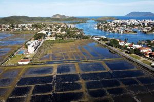 Munícipio de Cabo Frio - RJ e INEA recebem oficio do MPRJ para que fiscalizem empreendimento que ponha em risco o manguezal