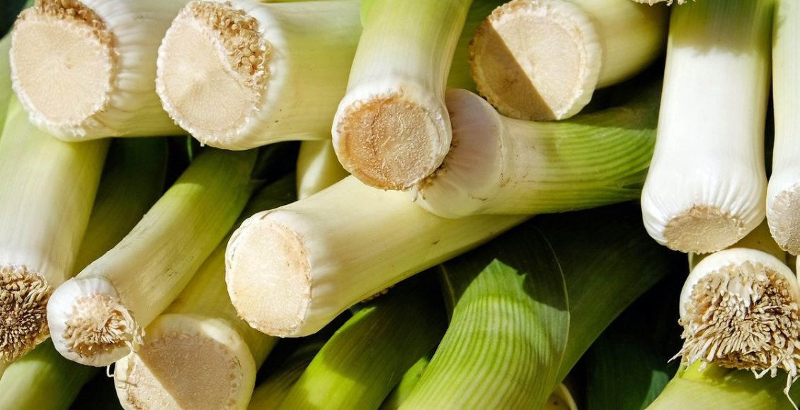 Como cultivar e plantar alho-poró em seu canteiro gastando pouquíssimo; Veja dicas super fáceis e úteis - Foto: Canva Pro