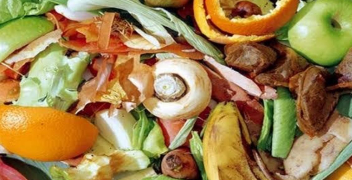 Economize reutilizando as cascas dos alimentos e torne sua hortaliça perfeita; veja dicas incríveis (Foto: Canva Pro)