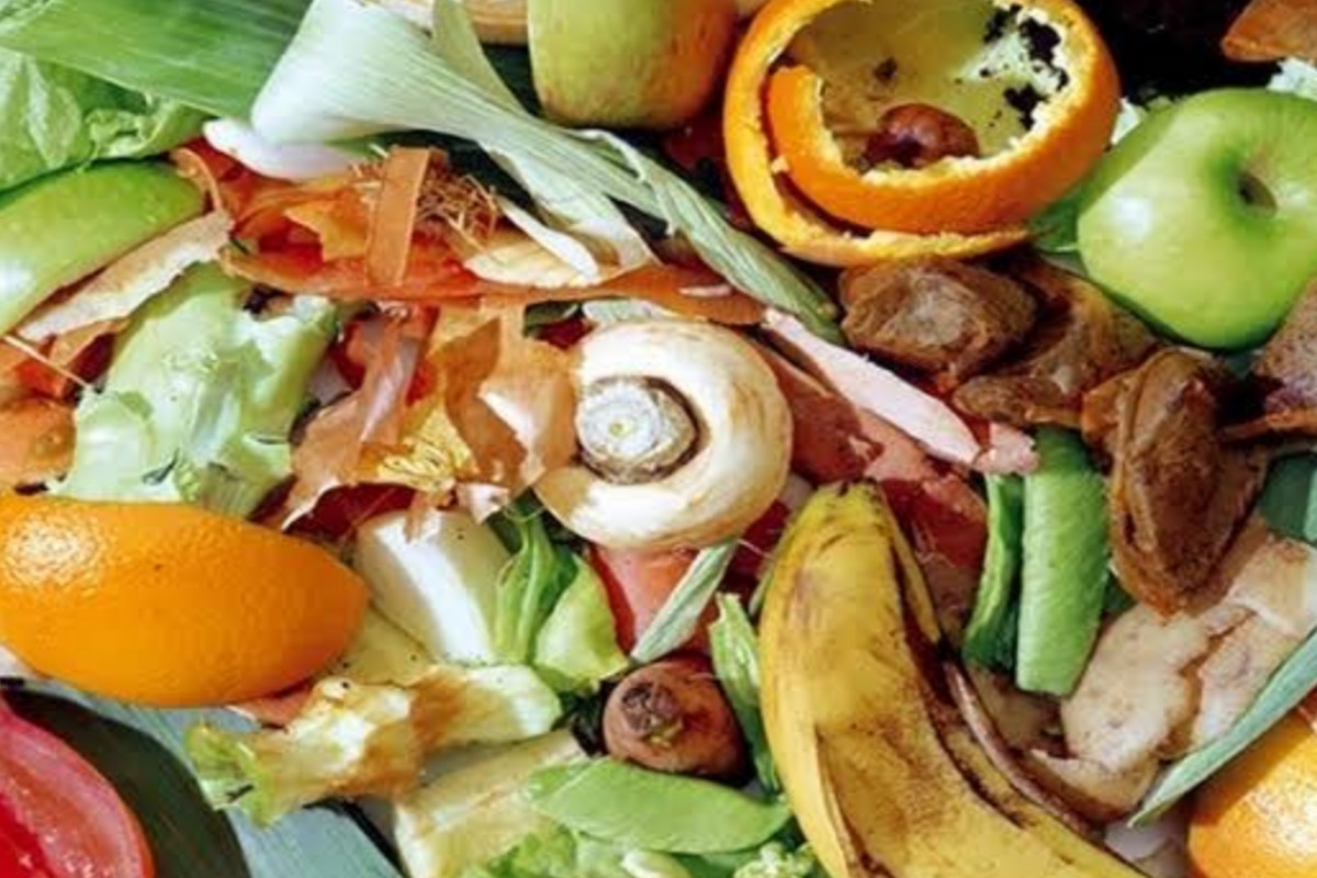 Economize reutilizando as cascas dos alimentos e torne sua hortaliça perfeita; veja dicas incríveis (Foto: Canva Pro)
