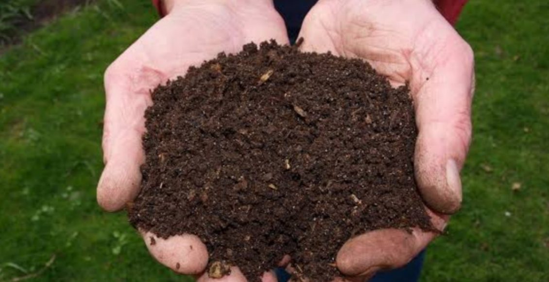 5 maneiras corretas e econômica de como preparar o solo; se liga nessas dicas incríveis - Foto: Canva Pro