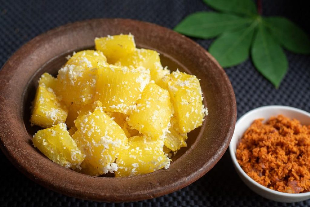 É possível plantar mandioca em vaso? Se liga nestas novas táticas usada pelo produtor