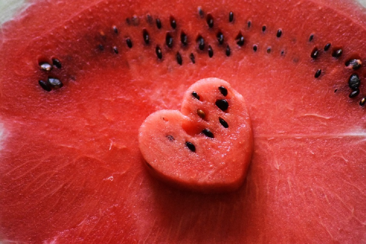 egredos da melancia, seus benefícios e técnicas incríveis de reaproveitamento; adote essas dicas em sua plantação/Reprodução Pixabay