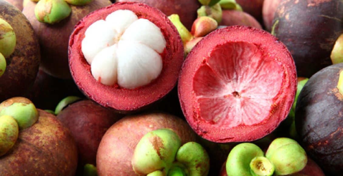 Como plantar mangostão em vaso ou direto no solo, utilizando apenas uma semente, não perca esta dica