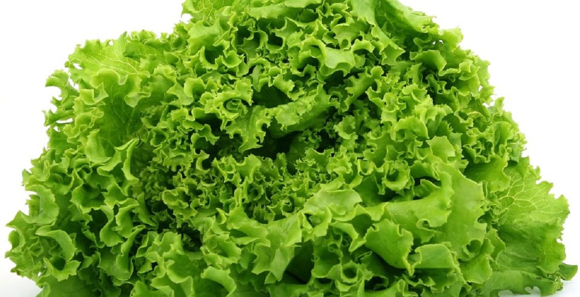 Como adubar um canteiro para cultivar alface, veja dicas super fáceis e importantes