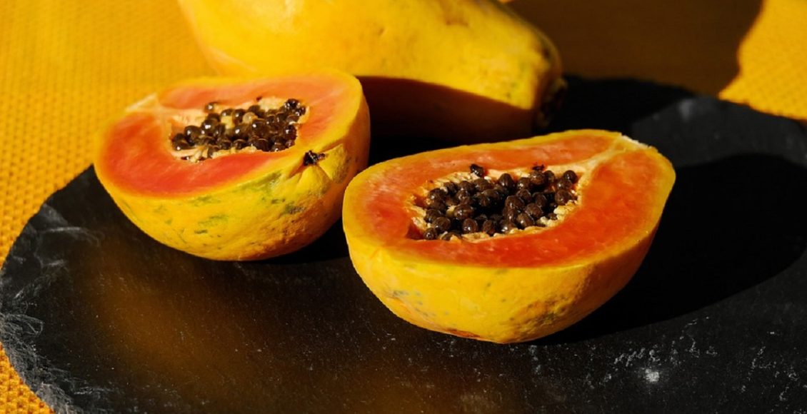 Qual o melhor tipo de solo para plantar mamão papaya, 3 dicas de como cultivá-lo sem gastar seu tempo