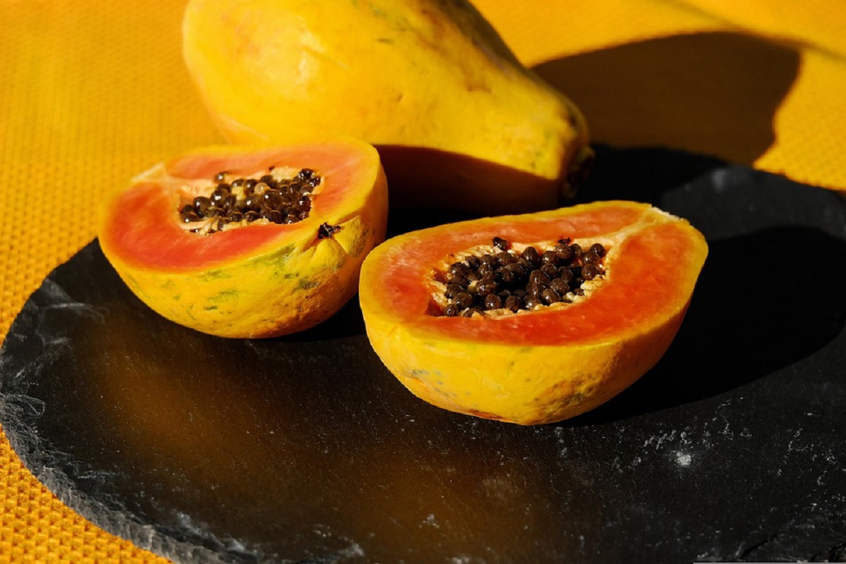 Qual o melhor tipo de solo para plantar mamão papaya, 3 dicas de como cultivá-lo sem gastar seu tempo