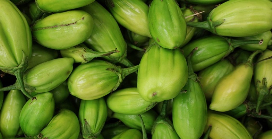 Maneiras fáceis e rápidas de como plantar quiabo e jiló no fundo de casa; aprenda técnicas incríveis