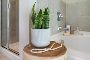 4 opções de plantas para banheiro: crie estratégias e decore o ambiente! - Fonte: Canva