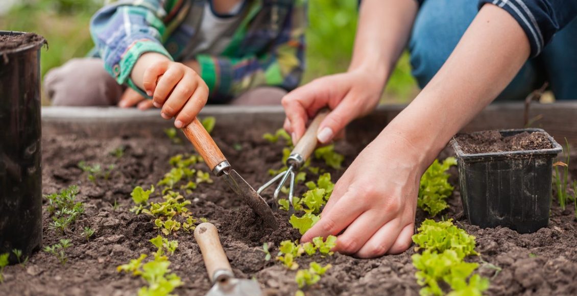 Jeito certo de preparar o solo para a horta: confira como escolher o solo correto para obter lindas plantas! - Fonte: Canva