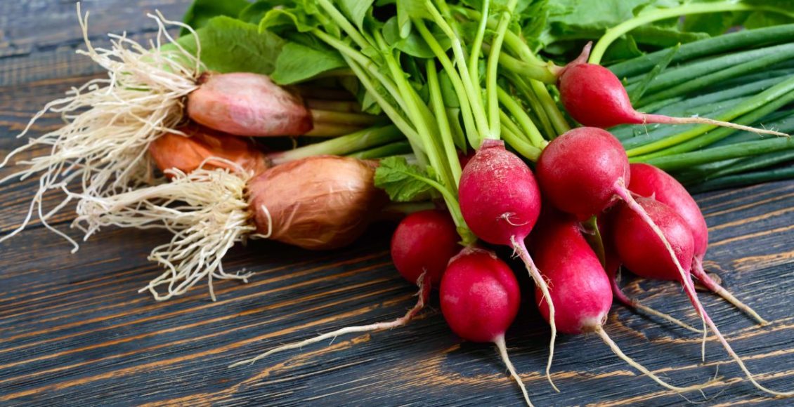 Nabo ou rabanete? Não confunda mais, nutricionistas explicam os benefícios - Fonte: Canva