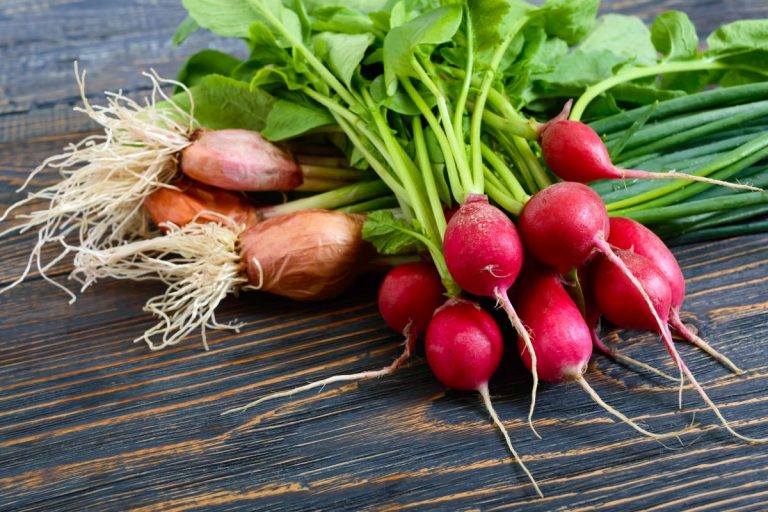 Nabo ou rabanete? Não confunda mais, nutricionistas explicam os benefícios - Fonte: Canva