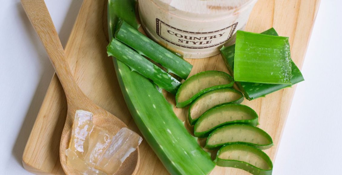 Benefícios da babosa: você conhece todos? Não perca essas informações! - Fonte: Canva