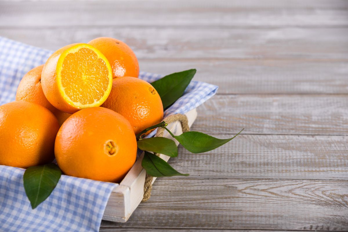 Curiosidades e benefícios da laranja: confira mais sobre essa fonte de vitamina C! - Fonte: Canva
