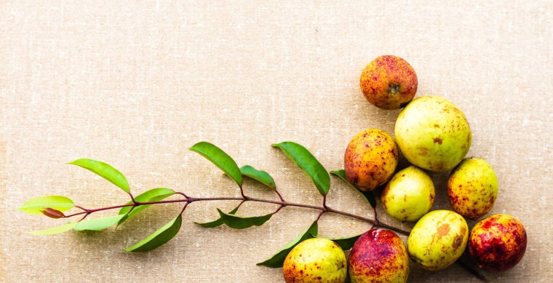 Benefícios da mangaba para saúde: aprenda mais sobre essa fruta! - Fonte: Canva