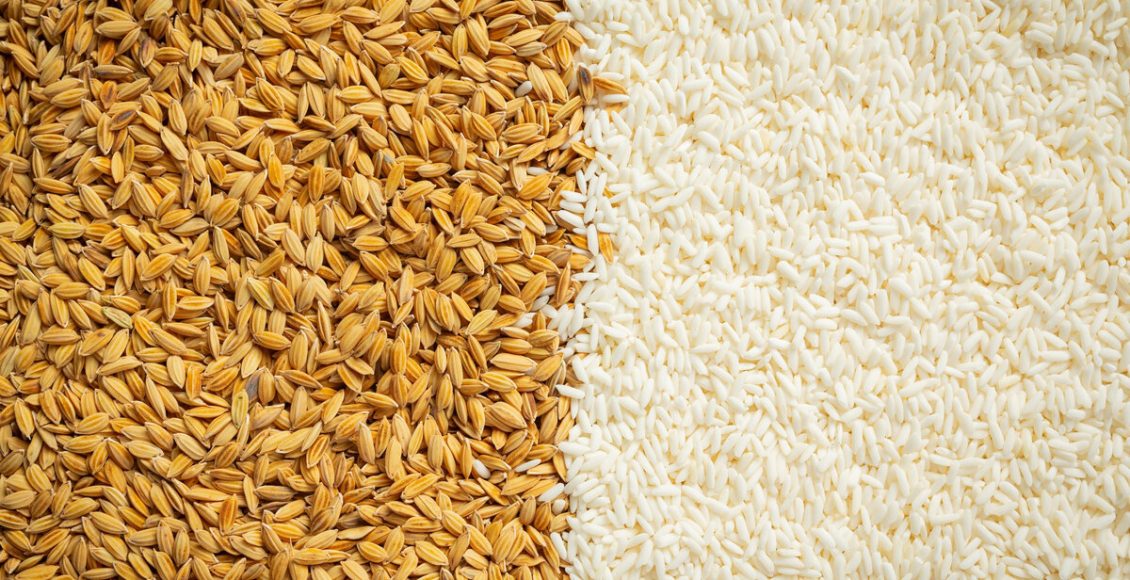 Utilize casca de arroz e veja quão incrível é esse material para as plantas! Foto: Freepik