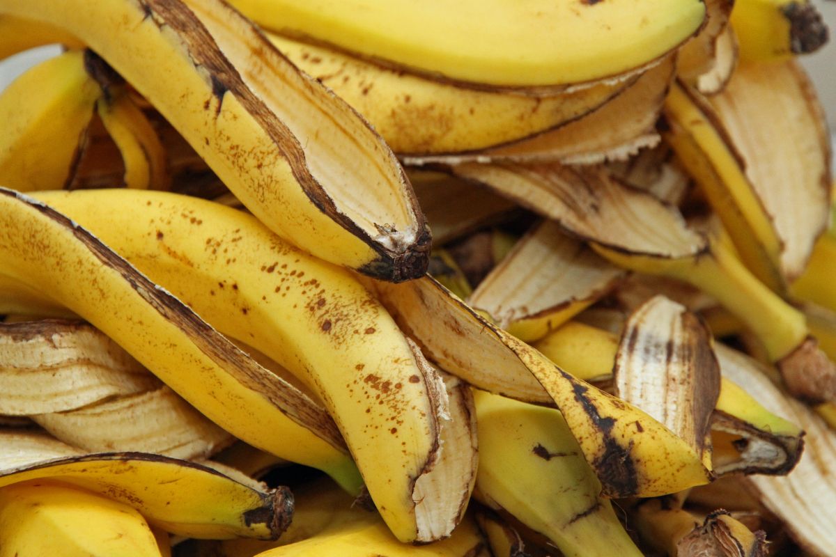 Use cascas de bananas como adubo e veja o que podem melhorar sua horta. Foto: Canva