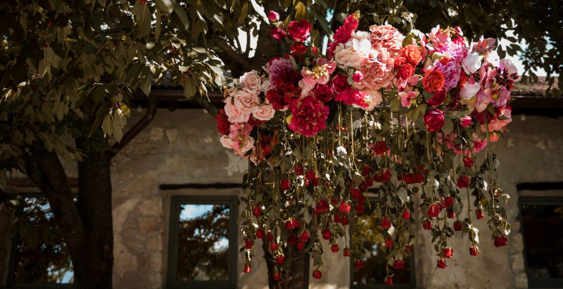 Como cultivar roseira pendente? Confira dicas para deixar a planta impecável! Foto: Freepik