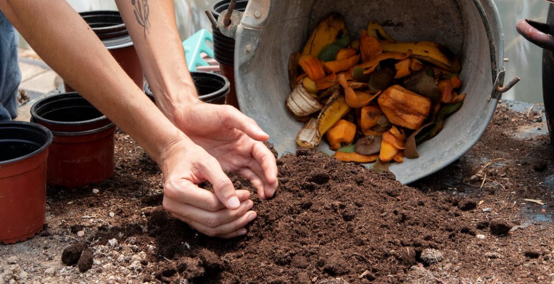 Como fazer composteira doméstica? Aprenda a fazer e tenha adubo orgânico o ano todo. Foto: Freepik