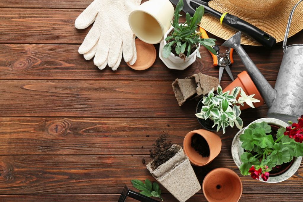 4 formas de usar objetos banais na jardinagem: dicas que ninguém te conta - Fonte: Canva
