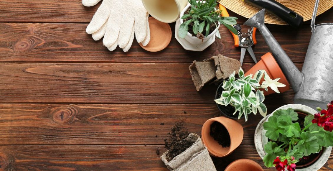 4 formas de usar objetos banais na jardinagem: dicas que ninguém te conta - Fonte: Canva