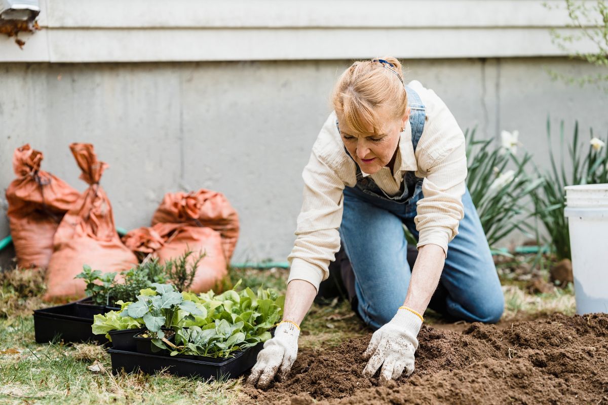 4 formas de usar objetos banais na jardinagem: dicas que ninguém te conta - Fonte: Canva