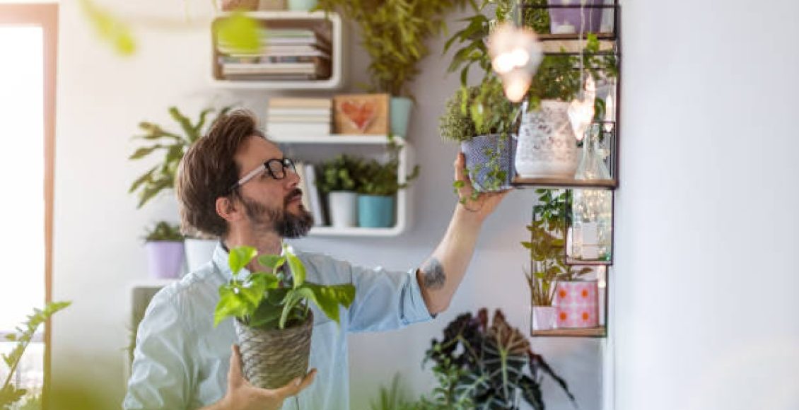 Receita de pasta cicatrizante para plantas: faça isso e recupere suas plantinhas (Foto: iStock)